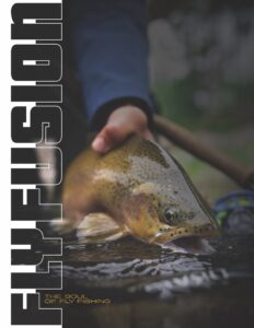 V22I1 Sub Cover V22I1 Sub Cover