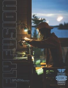 Subscriber cover V22I4